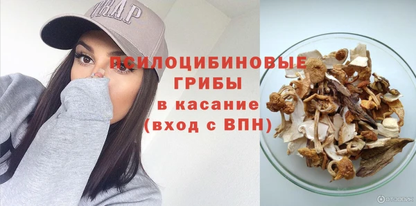 круглые Богородицк
