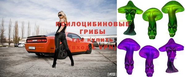 круглые Богородицк