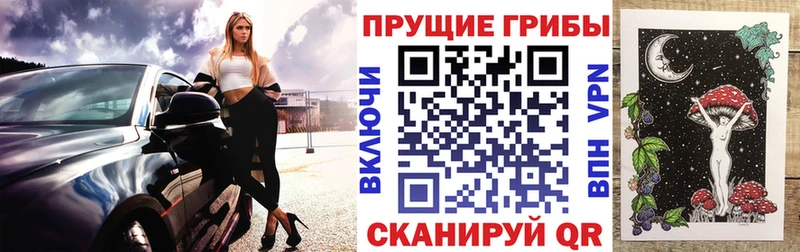 мега онион  Нальчик  Псилоцибиновые грибы мухоморы 